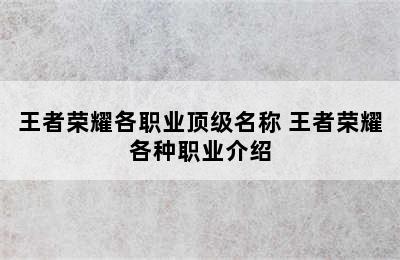 王者荣耀各职业顶级名称 王者荣耀各种职业介绍